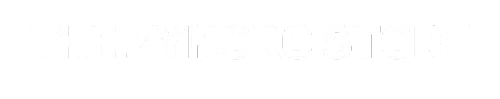 The Zyncro Store